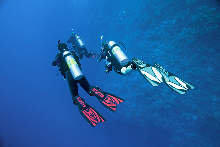 plongee-sous-marine-adultes-700