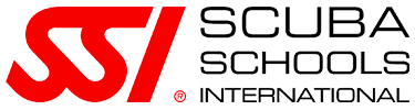 logo-SSI